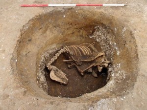 carshalton-horse-burial